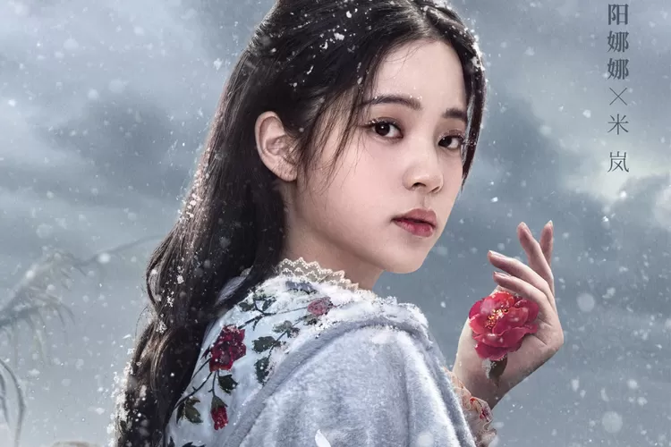 PEMERAN YANG DI TAMPILKAN DALAM SERIAL SNOW FALL